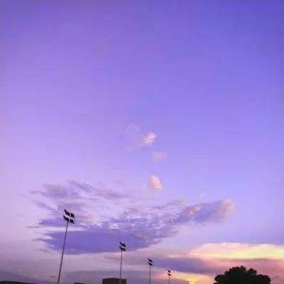 半岛官方体育网页登录截图